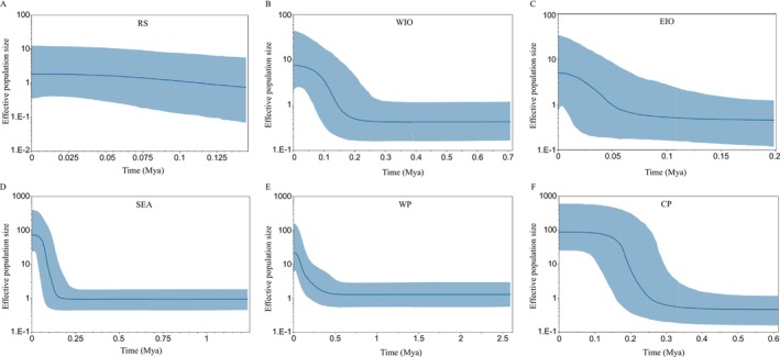 FIGURE 3