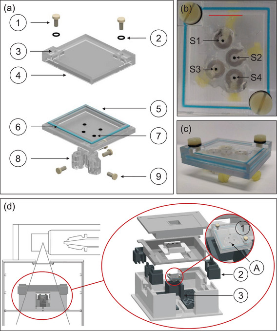 FIGURE 1