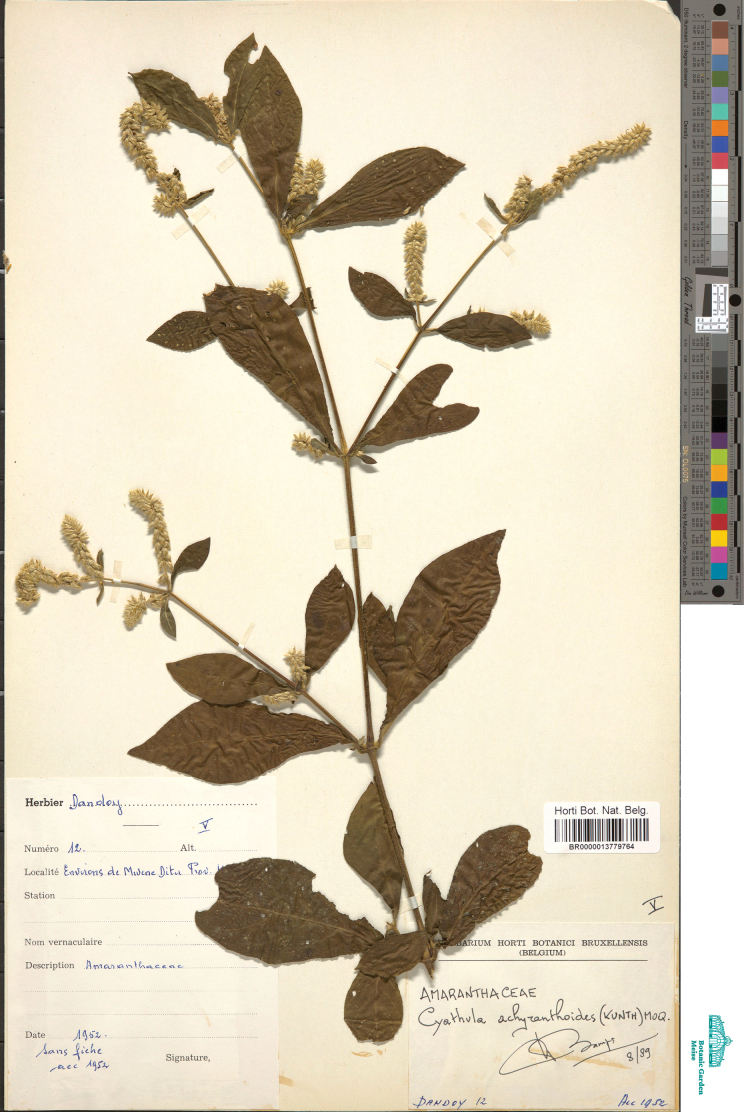Figure 12