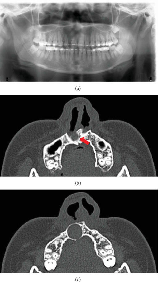 Figure 1