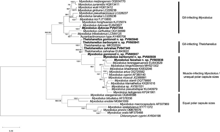 Figure 10