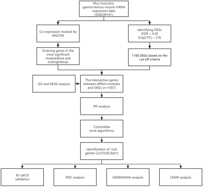 FIGURE 1
