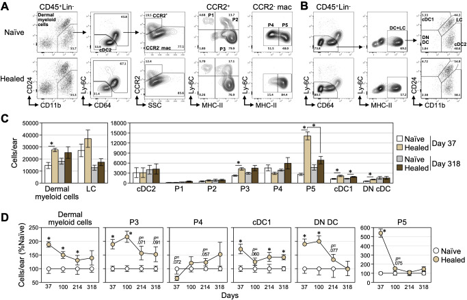 Figure 3