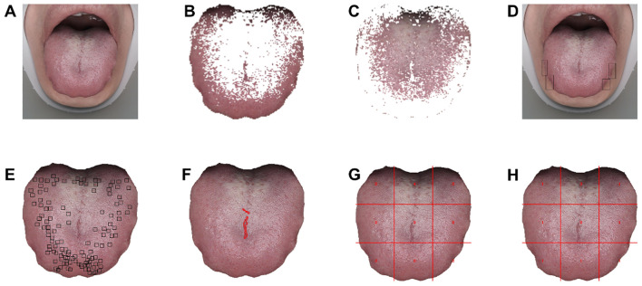 Figure 4