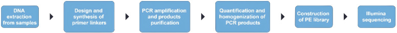 Figure 5