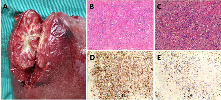 Figure 2