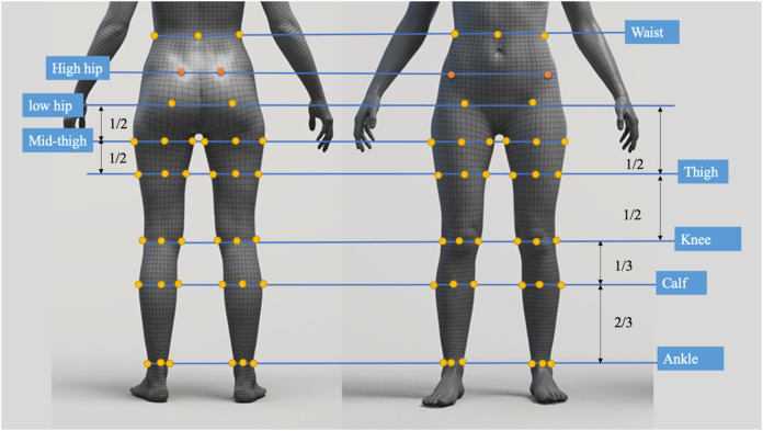 FIGURE 2
