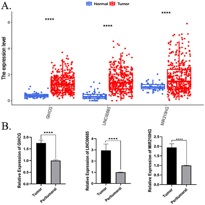 Figure 4
