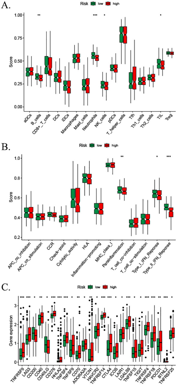 Figure 10