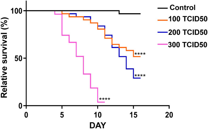 Figure 1