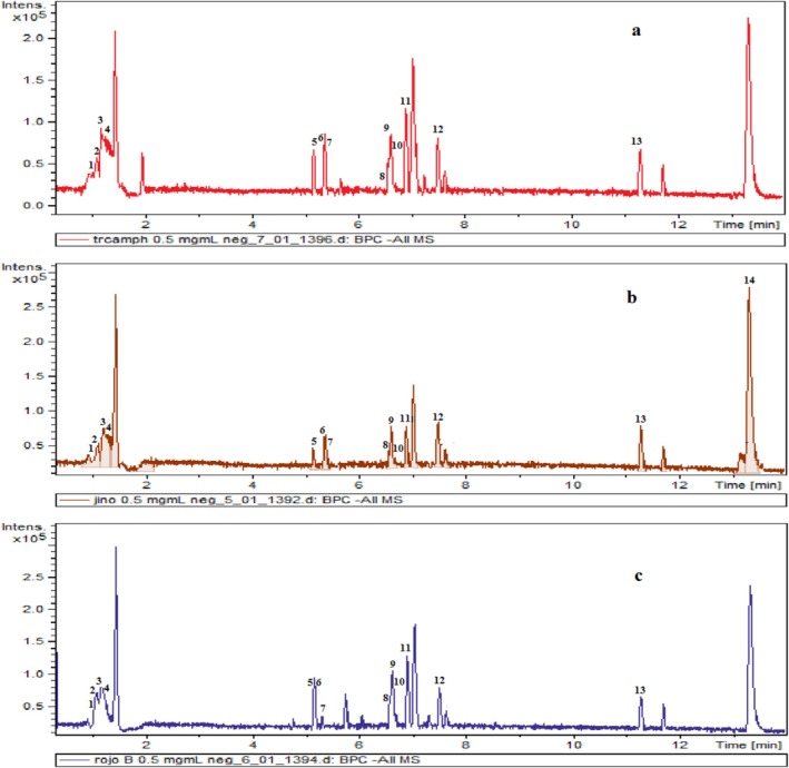 FIGURE 1