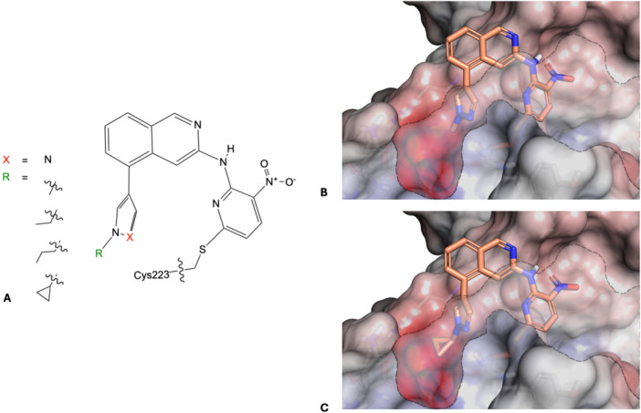 Figure 10