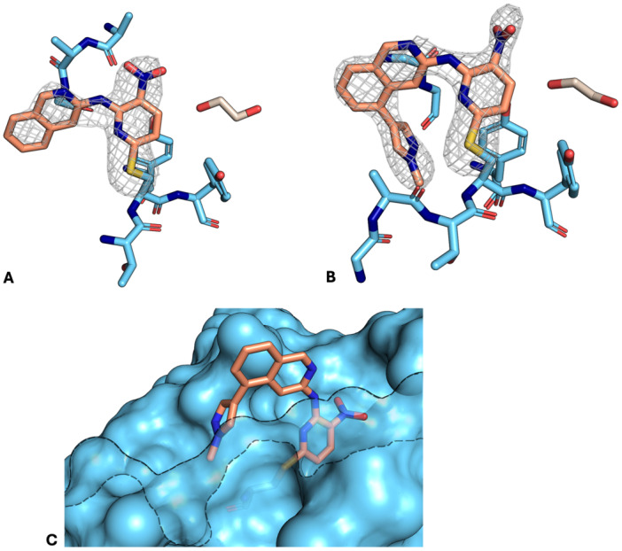 Figure 11