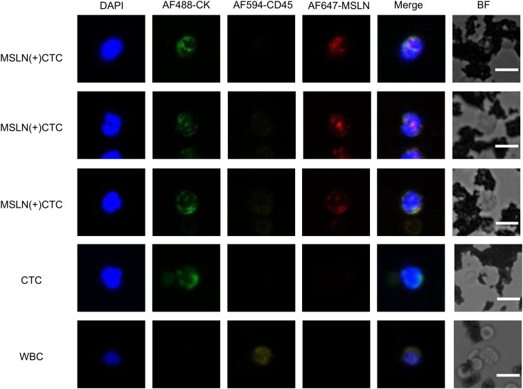 Figure 4