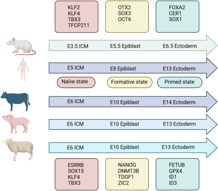 FIGURE 2