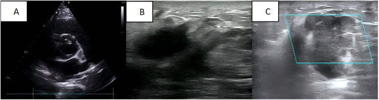 Figure 1