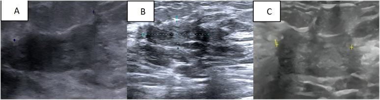 Figure 3