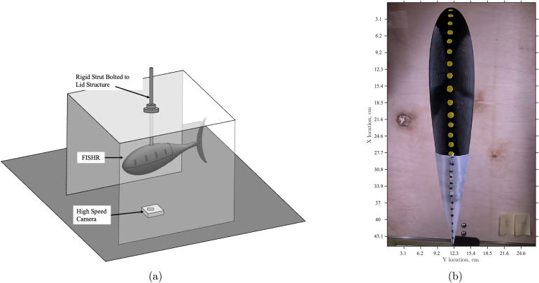 Figure 21