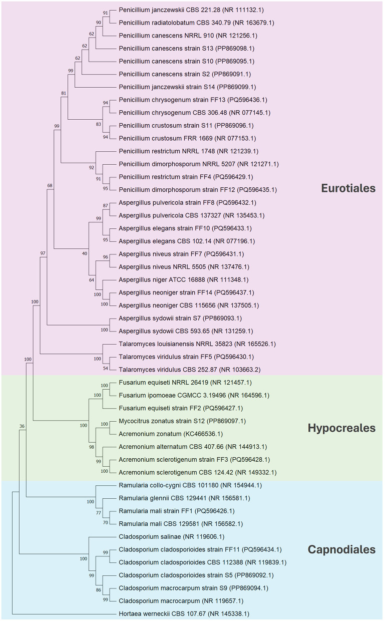 Figure 2
