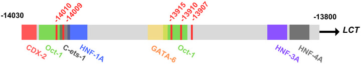 FIGURE 1