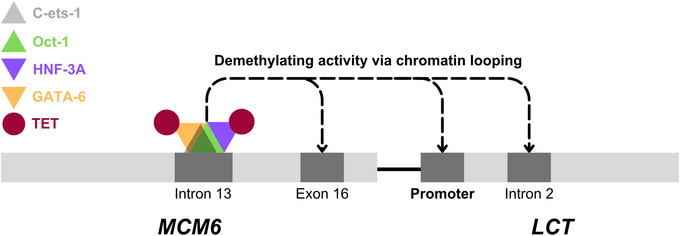 FIGURE 4