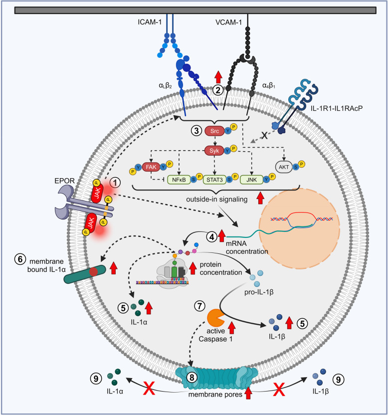 Figure 7