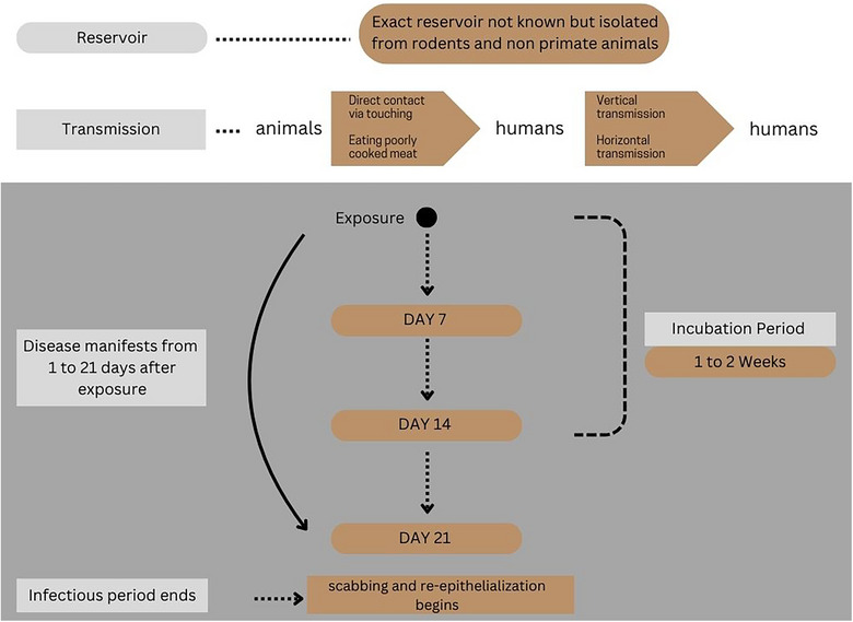 FIGURE 2