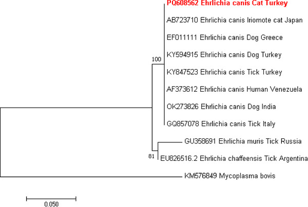 FIGURE 3