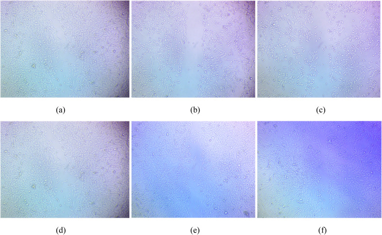 Fig. 19