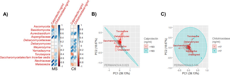 Figure 5