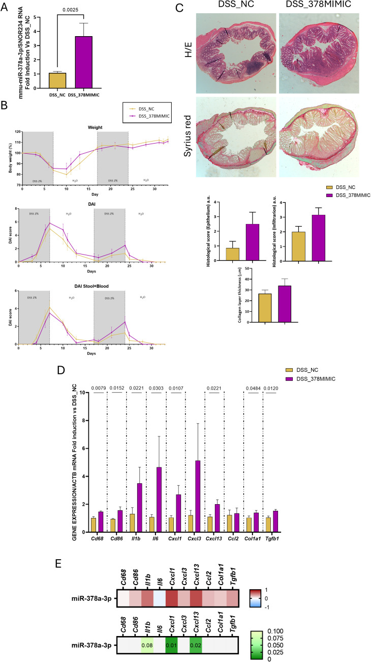 Fig 5