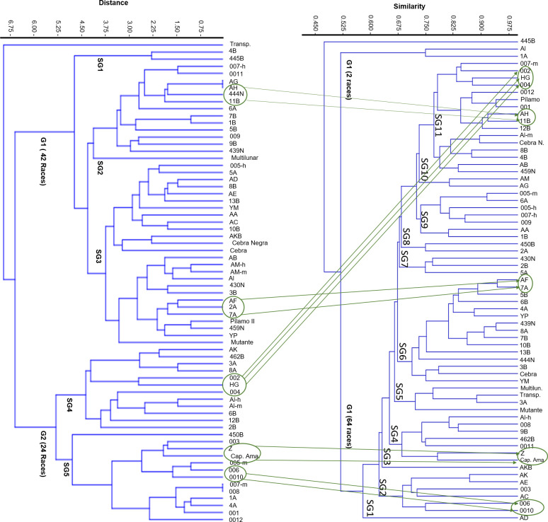 Fig 6