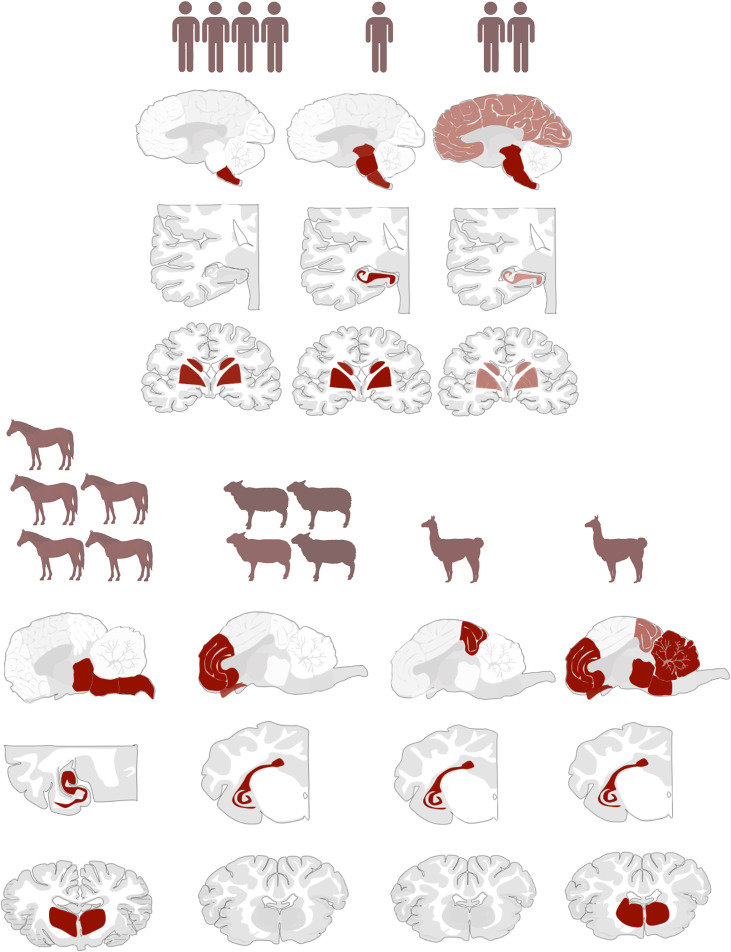 Fig 5
