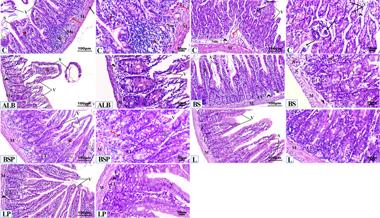 Fig 5