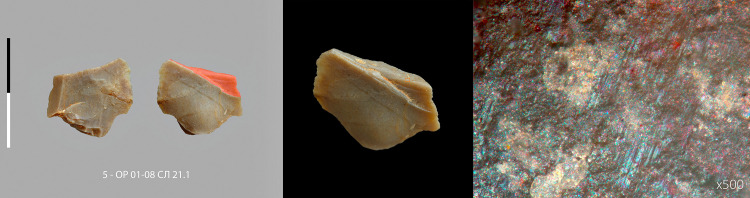 Fig 8