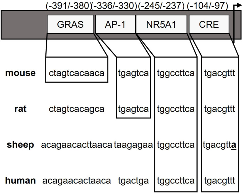 Figure 1