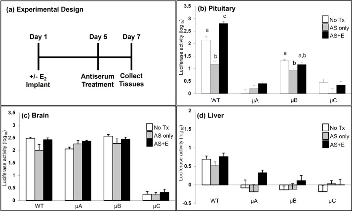 Figure 7
