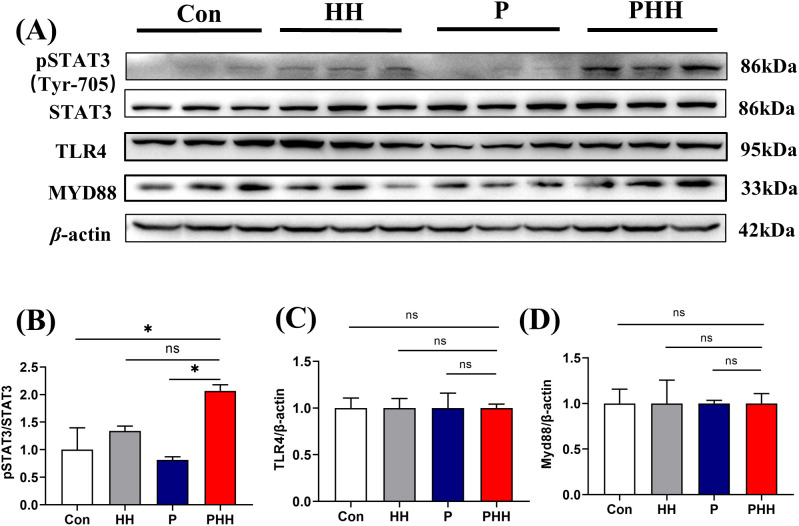 Figure 4