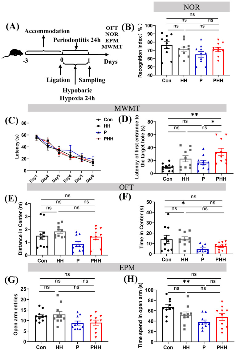 Figure 6