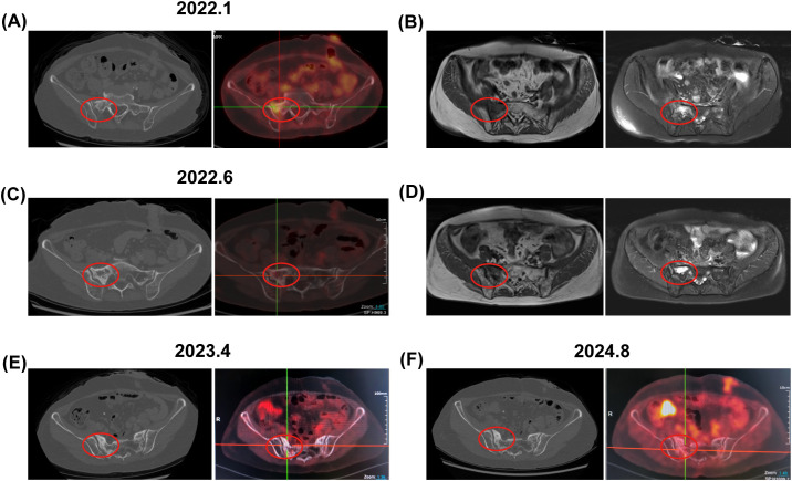 Figure 2