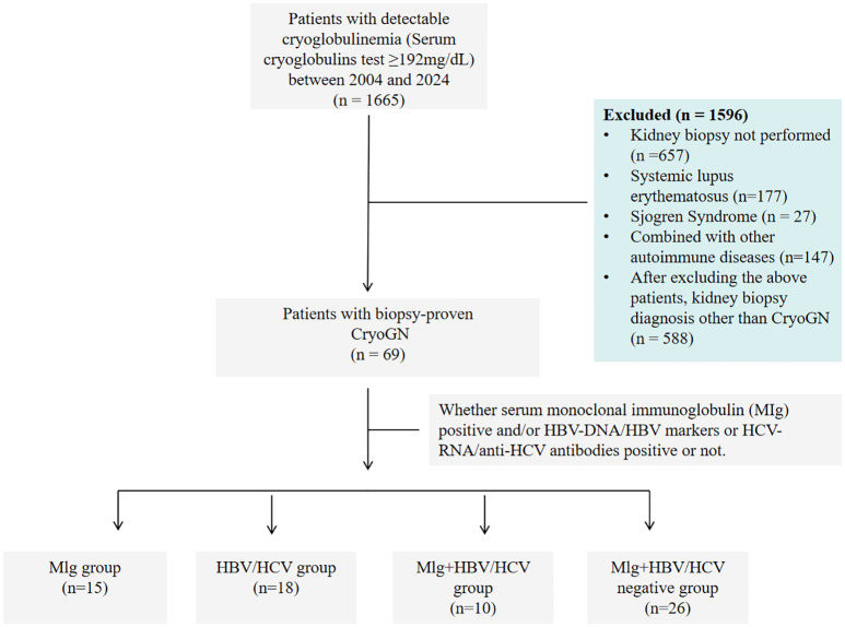 Figure 1