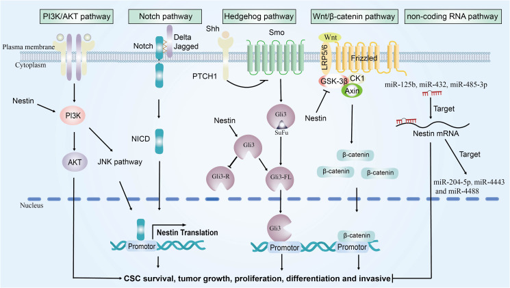 Figure 2