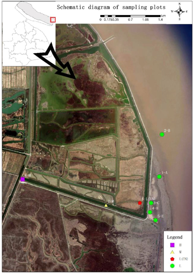 Figure 1