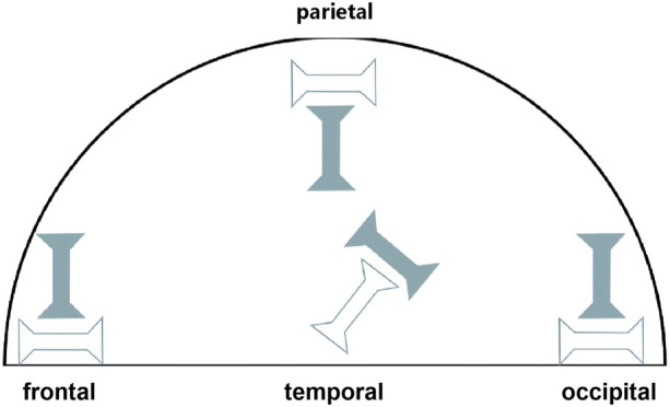 FIGURE 1