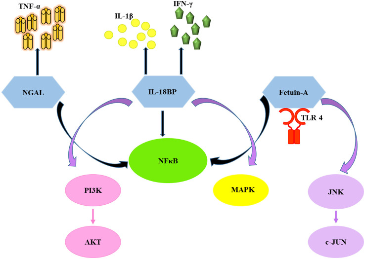 Figure 1