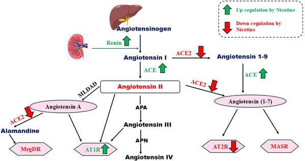 FIGURE 4