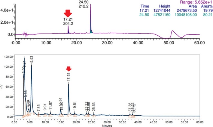 FIGURE 2