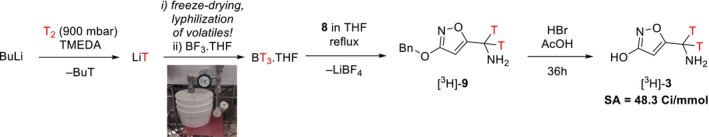 SCHEME 3