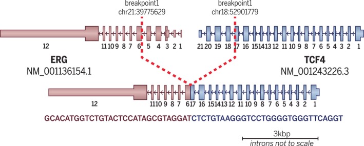 FIGURE 2
