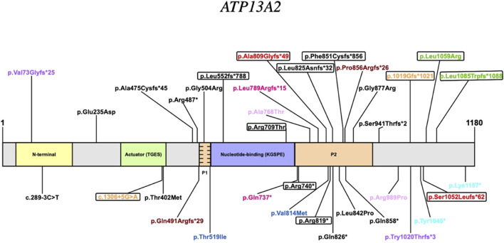 FIGURE 2